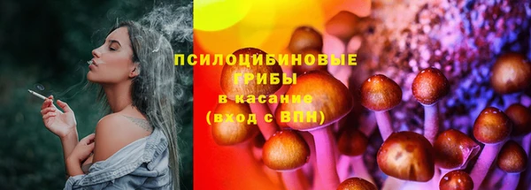 меф Гусиноозёрск