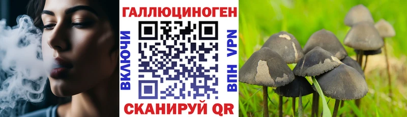 Галлюциногенные грибы Cubensis  Купить закладки  Шебекино 