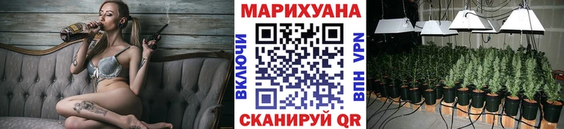 Купить закладки  Шебекино  Бошки Шишки марихуана 